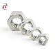  A2-70 Hex Nut/Stainless Steel 304 Hexagon Nut/SS316 Nut/A4-80 Nut/ Hex Nut/Standard Nut