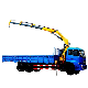  China Manufacturer Mobile Crane Sq10zk3q for Lifting