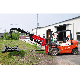  Knuckle Boom Hydraulic Forklift Fly Jib Crane for Sale