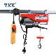 Txk Remote Control Electric Winch Wire Rope Electric Hoist 100kg 300kg manufacturer