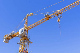  Suntec Brand Construction Tower Crane Hot Sale 16 Ton Tower Crane 7030 for Sale