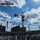  Dahan 18t Building Passenger Elevator Climbing Tower Crane Is Easy to Install