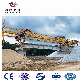  Bridge Girder Placement Crane for Bridge/Highway/Railway Construction