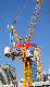  Jib 40m 5ton Luffing Crane