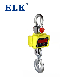 1ton 2ton 3ton Crane Electric Weighing Scale manufacturer