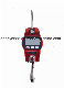 100-300kg Metal Aluminum Shell Electronic Portable Crane Scale