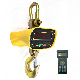 3t 5t 10t Digital Hanging Crane Weight Scale with LED Display