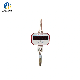  Customized Electric 5000kg Digital Hanging Weight Crane Weighing Hook Scales