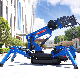 New Designed Hydraulic Telescopic Crawler Spider Cranes Wholesale Mini Spider Crane with Arm Building Mobile New Spider Crane