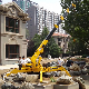 Spidercrane Lift Mini Cranes and Spider Cranes Machinery Price