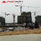 Selling Factory Direct Price Qtz63 (TC5013) Tower Crane manufacturer