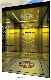 Spacious Luxurious CE Approved Passenger Elevator Lift Price