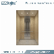 High-End Elegant Design 1150kg Passenger Lift Elevator Used in Residential Building Office