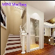  Luxury and Elegant Home Lift Villa Elevator with OEM ODM Service