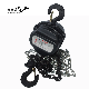 Hsc 1ton 2ton 3ton 5ton 10ton 3 Meters Chain Triangle Hand Chain Pulley Block Manual Chain Hoist with TUV Certificate