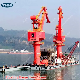  50t Floating Barge Twin Crane Fq5038 Capesize Panamax Sea Vessel Crane