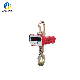 Electronic Mechanical Hanging Mini Electric Crane Look Straight Hook Scale