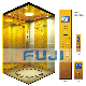 FUJI Passenger Lift Elevator with Good Price