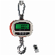 Portable Hanging Scale LCD Display with Back Light 30kg-300kg