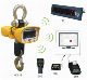 Digital Crane Scale with Wireless Systems manufacturer