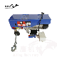 Manufacturer 200kg Powered Mini Lift Crane