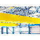 Double Girder Overhead Crane with Hoist Trolley in Steel Structures Building