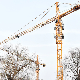 Gainjoys High Quality China Supplier Brand Construction Tower Crane Price for Sales