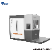 Rotary Double Material Plate Multi-Wire Cutting/Sawing Machine Chtxq-690f