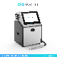 Small Character Cij Printer Logo Inkjet Printer for Plastic/Metal Materials manufacturer