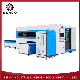 Chinese High Precision Fiber Laser Cutting and Engraving Machine Ipg Rycus