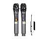 2 Channel Wireless UHF Microphone Professional Handheld Microphone for Live Performance and Speech
