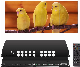 Custom Portrait 4K Video Wall Controller, HDMI TV Wall Controller, Seamless HDMI Splitter