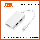  Anera Hot Sale Mini Dp Display to HDMI VGA DVI Video Converter 3 in 1 Adapter Cable