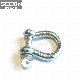 China Export Supplier Rigging Hardware Us Type Screw Pin Anchor Shackle G209 Shackle Zinc Plated