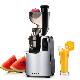 High Quality Food Grade Low Speed Big Mouth Slow Juicer