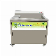 Commercial High-Tech Decompose Pesticides Vegetable Washing Machine Fruit Washer