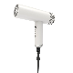  Bidisco Best Custom Private Label Ionic Hair Dryers High Quality Professional Blow Hair Dryer