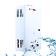  20L House Heating Machine Instant Geyser Boiler Shower Propane Natural Gas Hot Water Heater