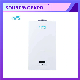 New Constant Temperature 10L 12L 16L 18L Hot Sale Home Appliance Flue Type Wall Mounted Tankless Instant LPG Natural Hot Water Gas Water Heater for Shower