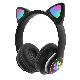 RGB Cat Ear Bluetooth Bass Noise Cancelling TF Card Headset manufacturer