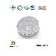 Cr2477 Henli Max Cr2450/Cr2032/Cr2025/Cr2016/Cr1632/Cr1225/Cr1220 Primary 3V Lithium Button Cell Coin Battery for Remote Control, POS, Blood Glucose Meter, ESL