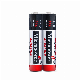 1.5V Lr03 AAA No Rechargeable Battery with MP3 Player
