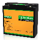 Customized Top Quality LiFePO4 12V 24V 30ah 100ah150ah 200ah Lithium Ion Battery