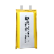 3000mAh 3.7V Rectangular Lithium Polymer Ion Battery Cells Pack manufacturer