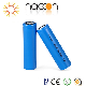 Li-ion Naccon or OEM 18650 1300mAh 3.7V Rechargeable Battery Naccon 18650-1300mAh manufacturer
