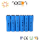  High Capacity Li-ion Naccon or OEM 18650 1300mAh 3.7V Rechargeable Battery 18650-13L 1300mAh