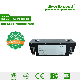  Rechargeable 24V 100ah Solar Storage Li Ion Lithium Ion LiFePO4 Lithium Battery for RV/Golf Cart/Yacht/Marine/Motorhome/Agv