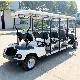  Made China Cheap Price 60V Adults Kids Golf Cart 8 Seat Electric Golf Carts for Sale Charge