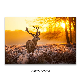 Sunrise and Forest Deer Print Canvas Digital Printed Wall Art Modern Wall Art Picture for Living Room Decoration