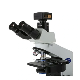  3m 5m 8m 12m C2CMOS USB2.0 Microscope C-Mount Digital Camera for Biological Stereo